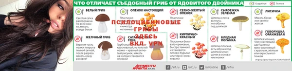 крисы Баксан