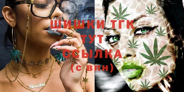 соль курить ск Белокуриха
