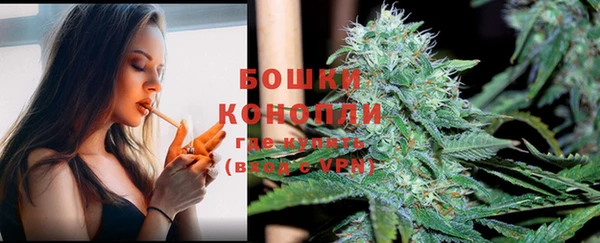 соль курить ск Белокуриха