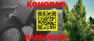 крисы Янаул