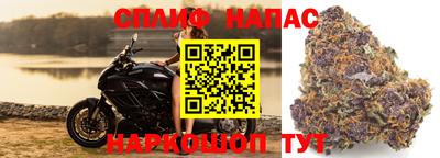 крисы Янаул