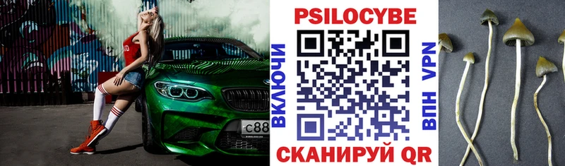 Псилоцибиновые грибы мицелий  Обь 